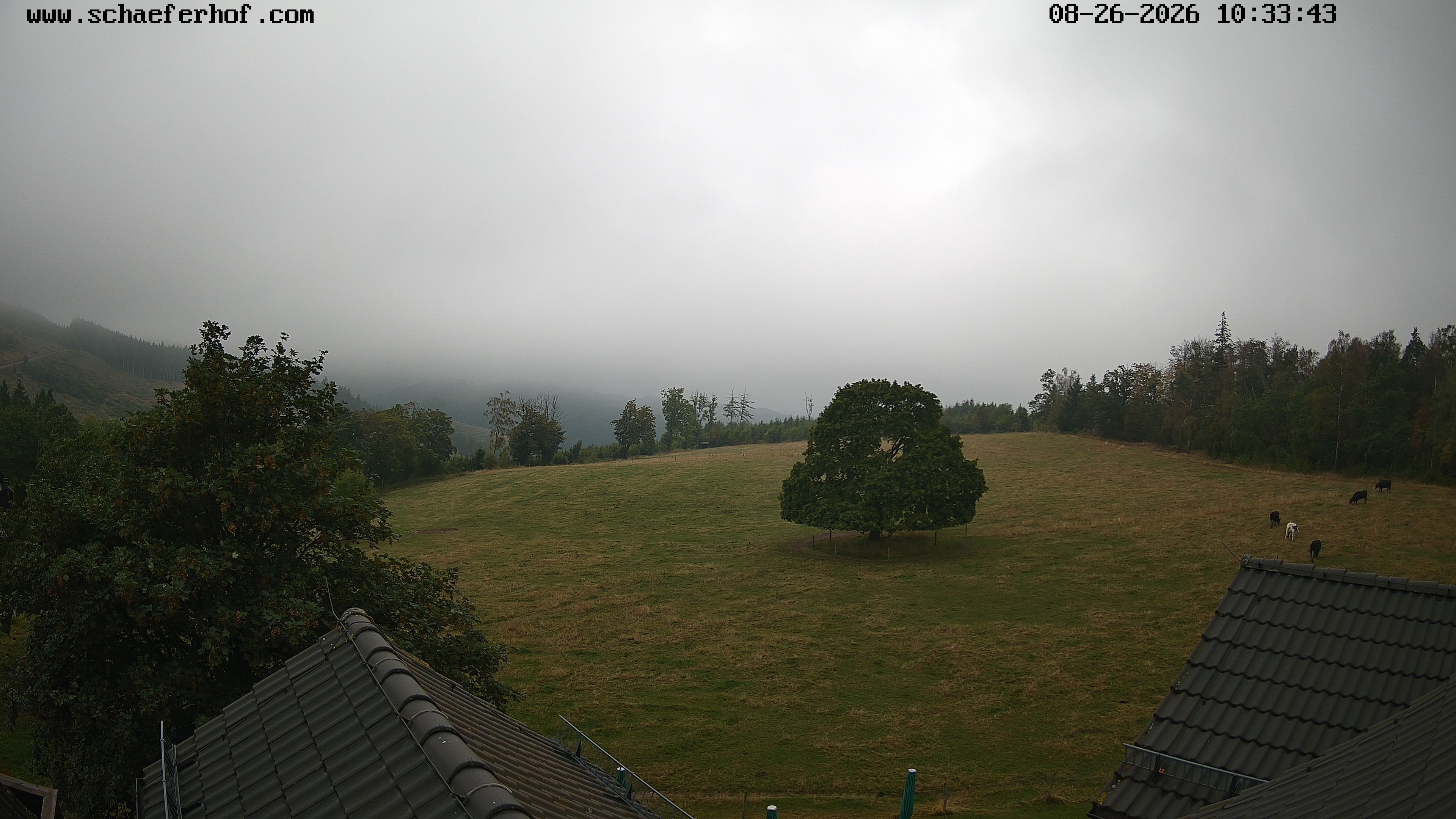 Archived image Webcam Schmallenberg: Hotel Schäferhof