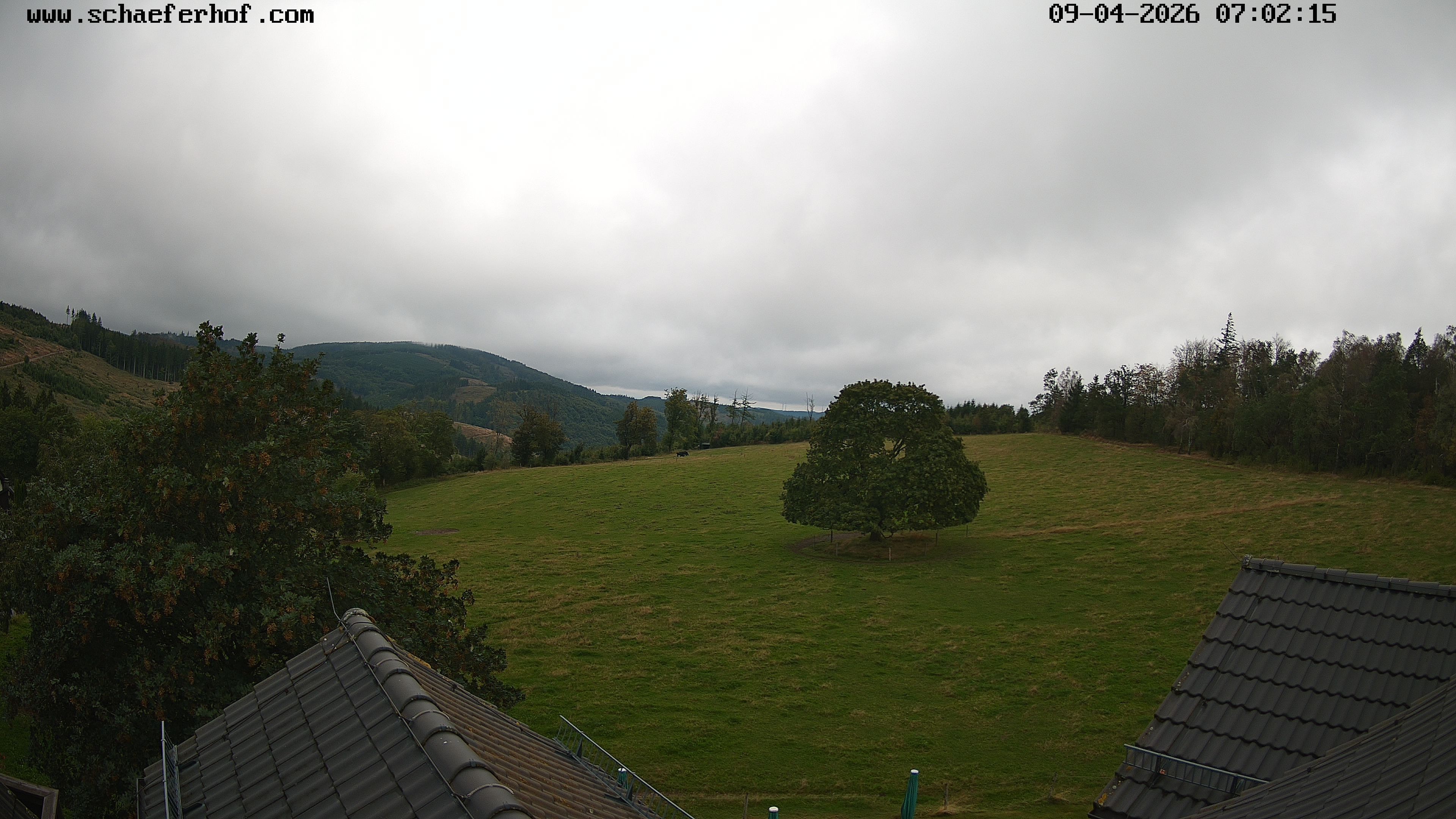 Archiv Foto Webcam Schäferhof im Sauerland