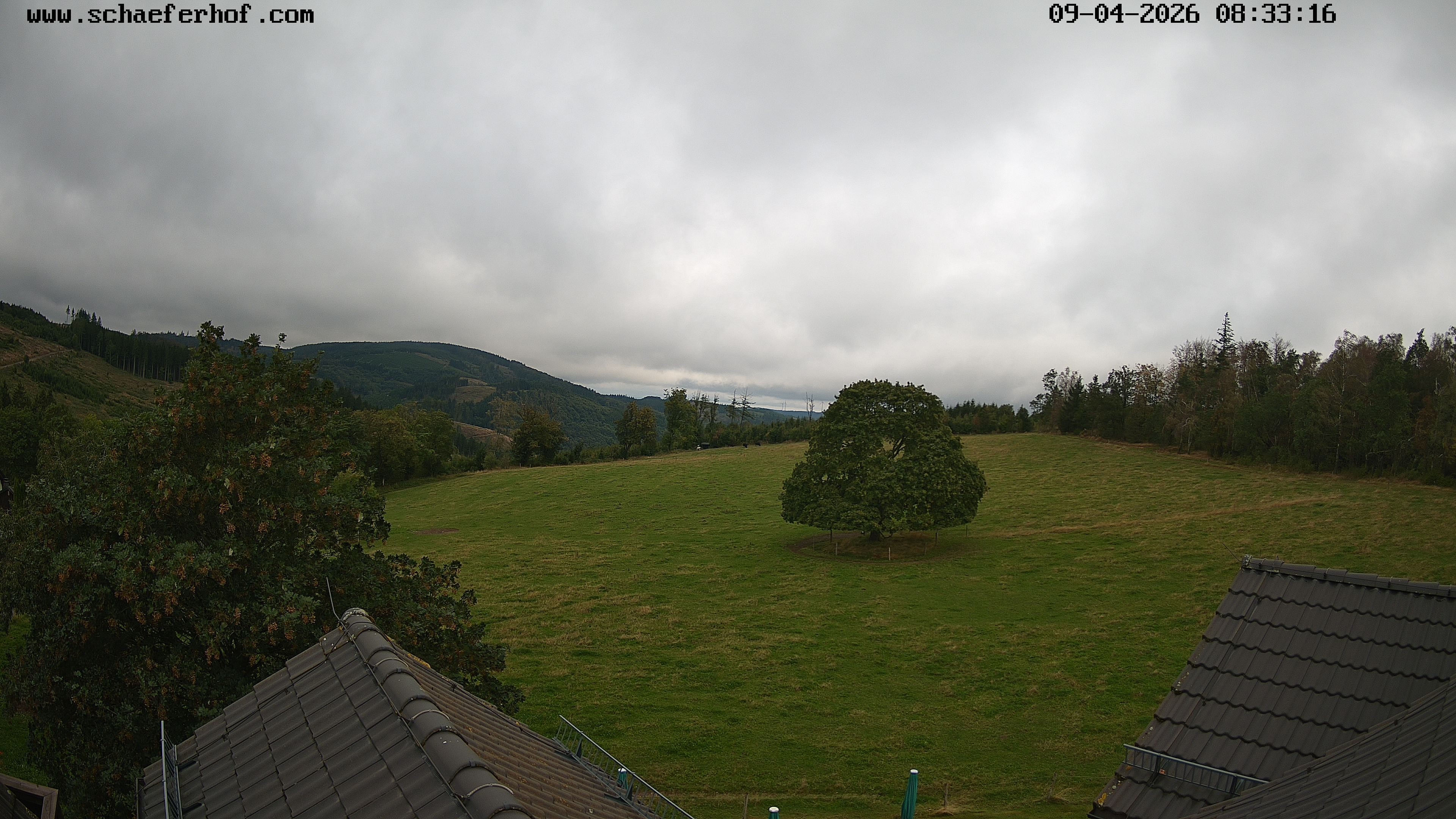 Archiv Foto Webcam Schäferhof im Sauerland