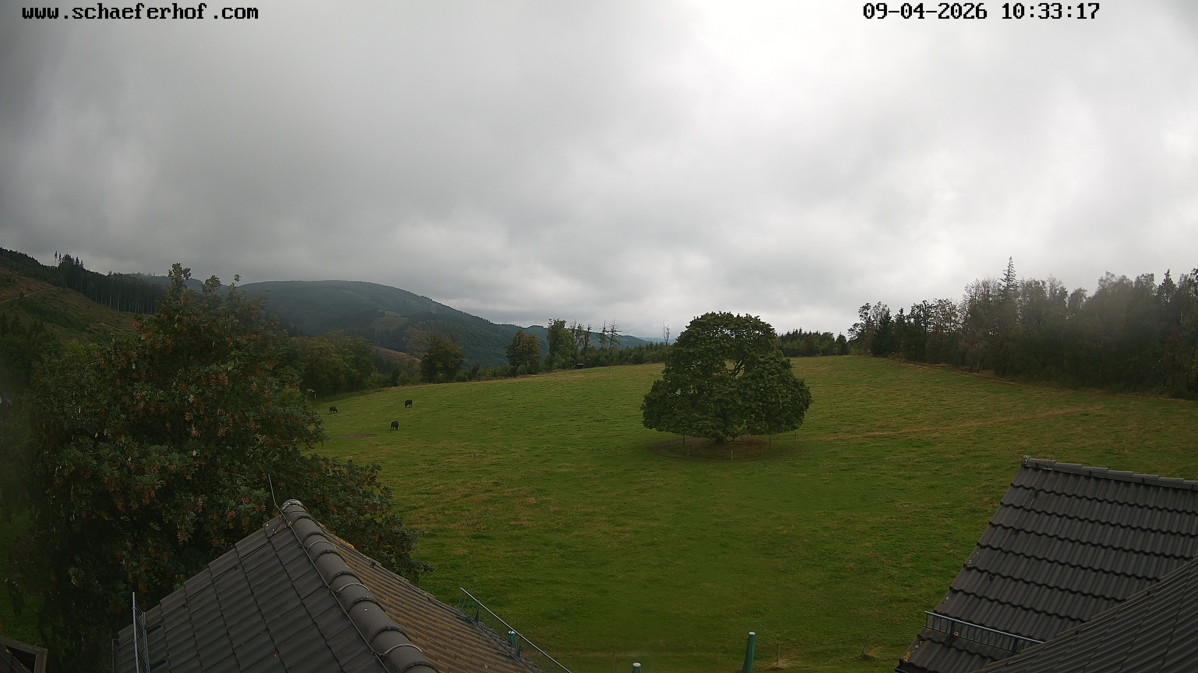 Archiv Foto Webcam Schäferhof im Sauerland
