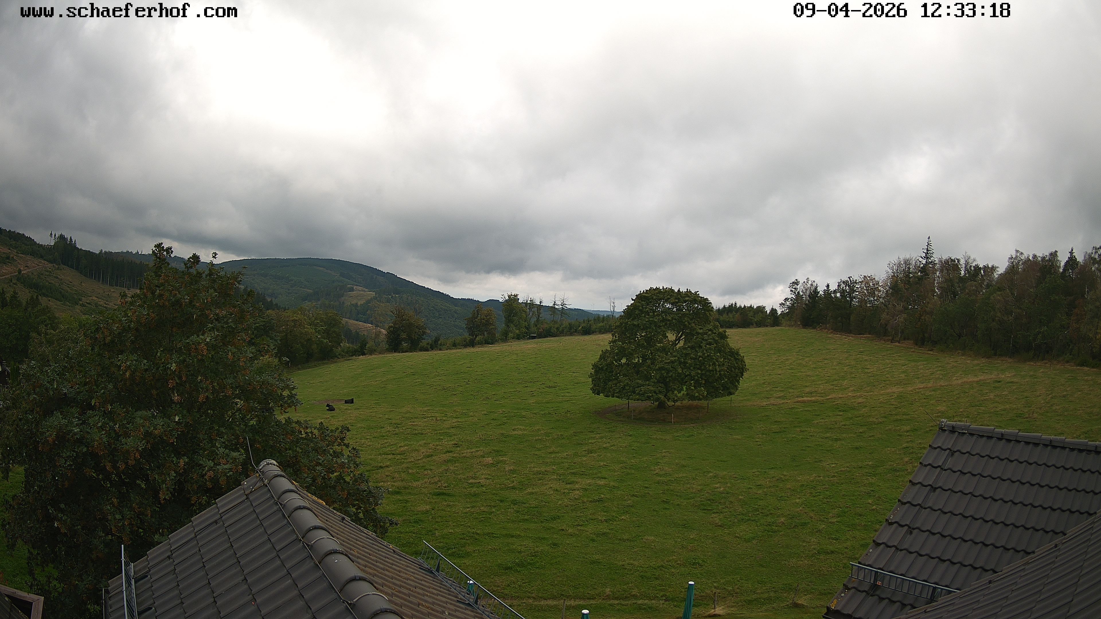 Archiv Foto Webcam Schäferhof im Sauerland