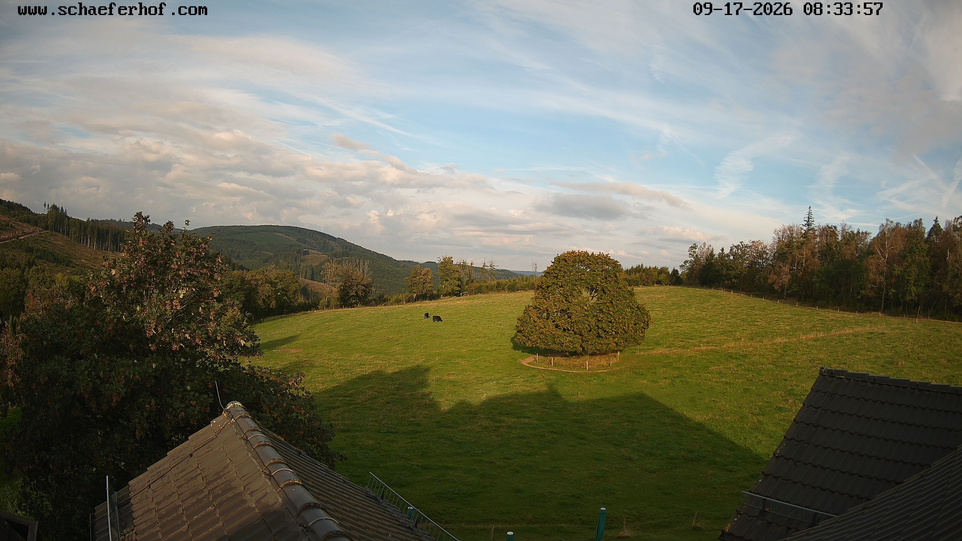 Archiv Foto Webcam Schäferhof im Sauerland
