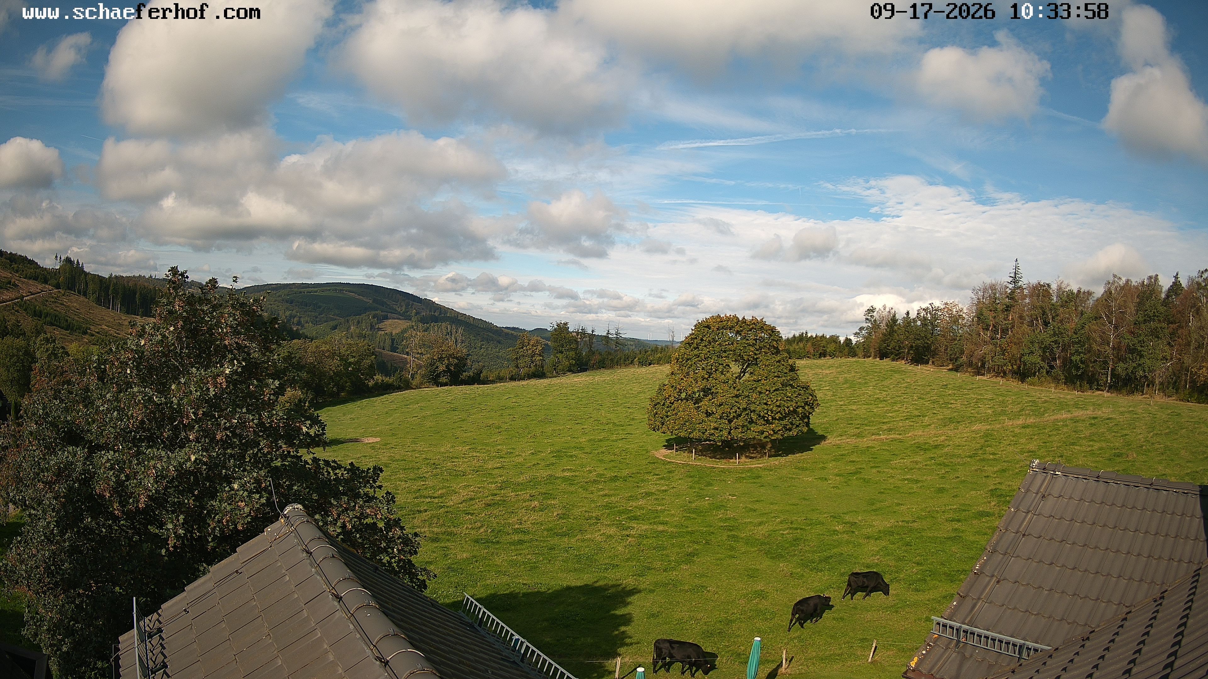Archived image Webcam Schmallenberg: Hotel Schäferhof