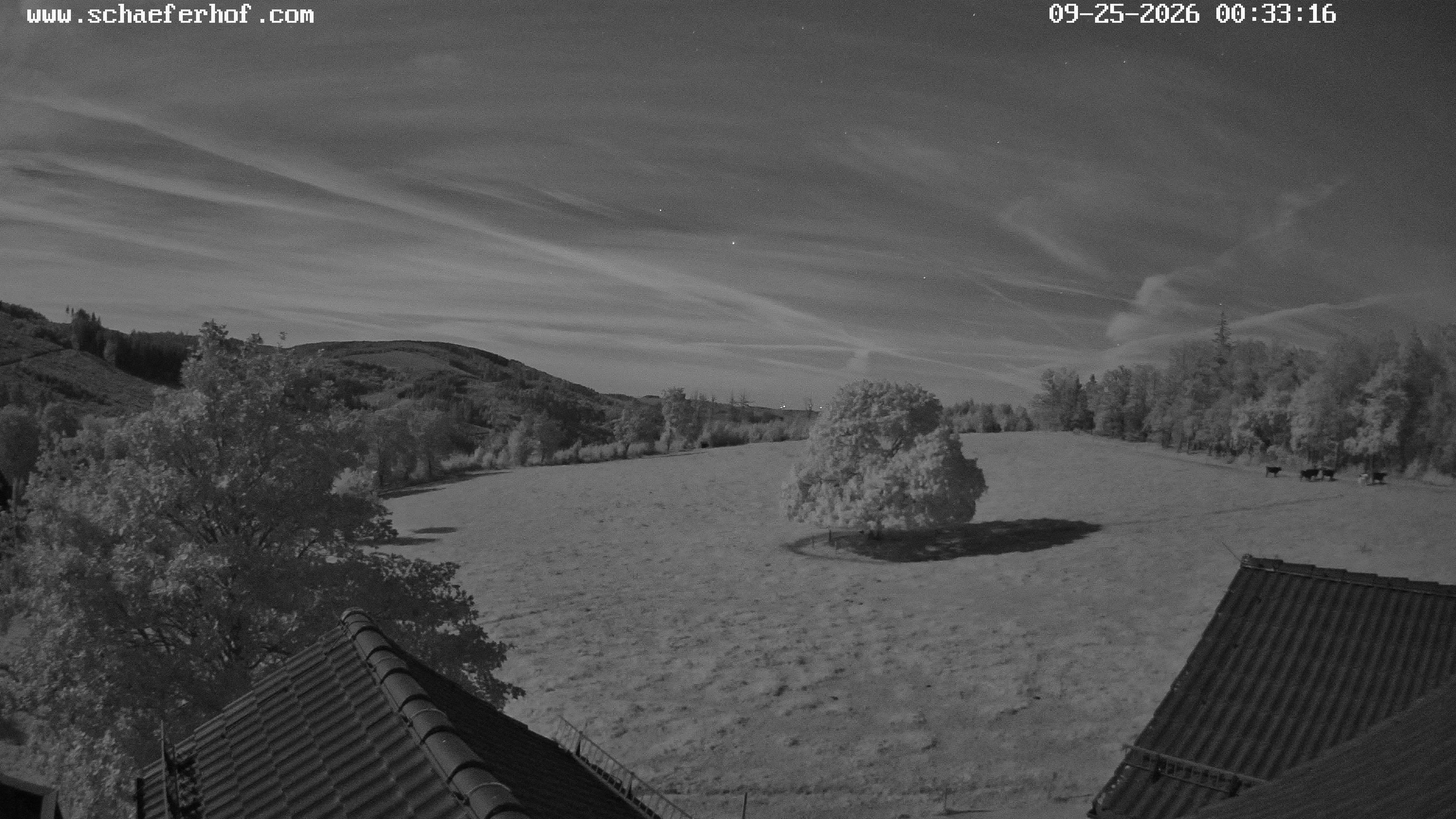 Archiv Foto Webcam Schäferhof im Sauerland