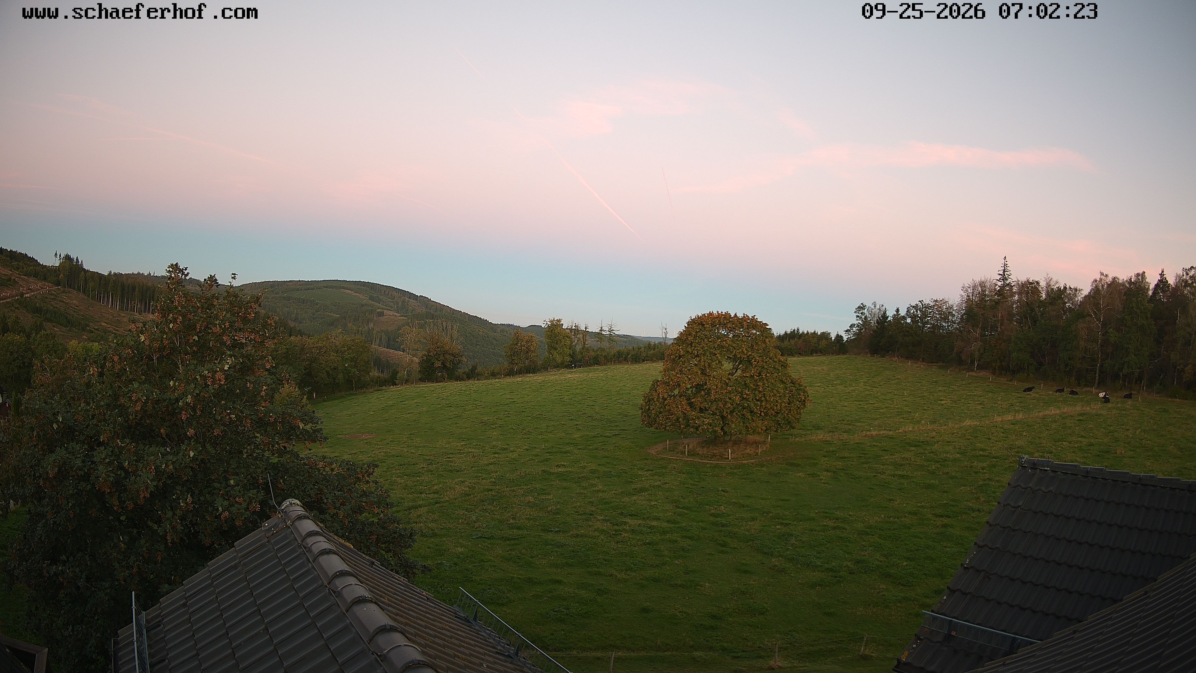 Archiv Foto Webcam Schäferhof im Sauerland