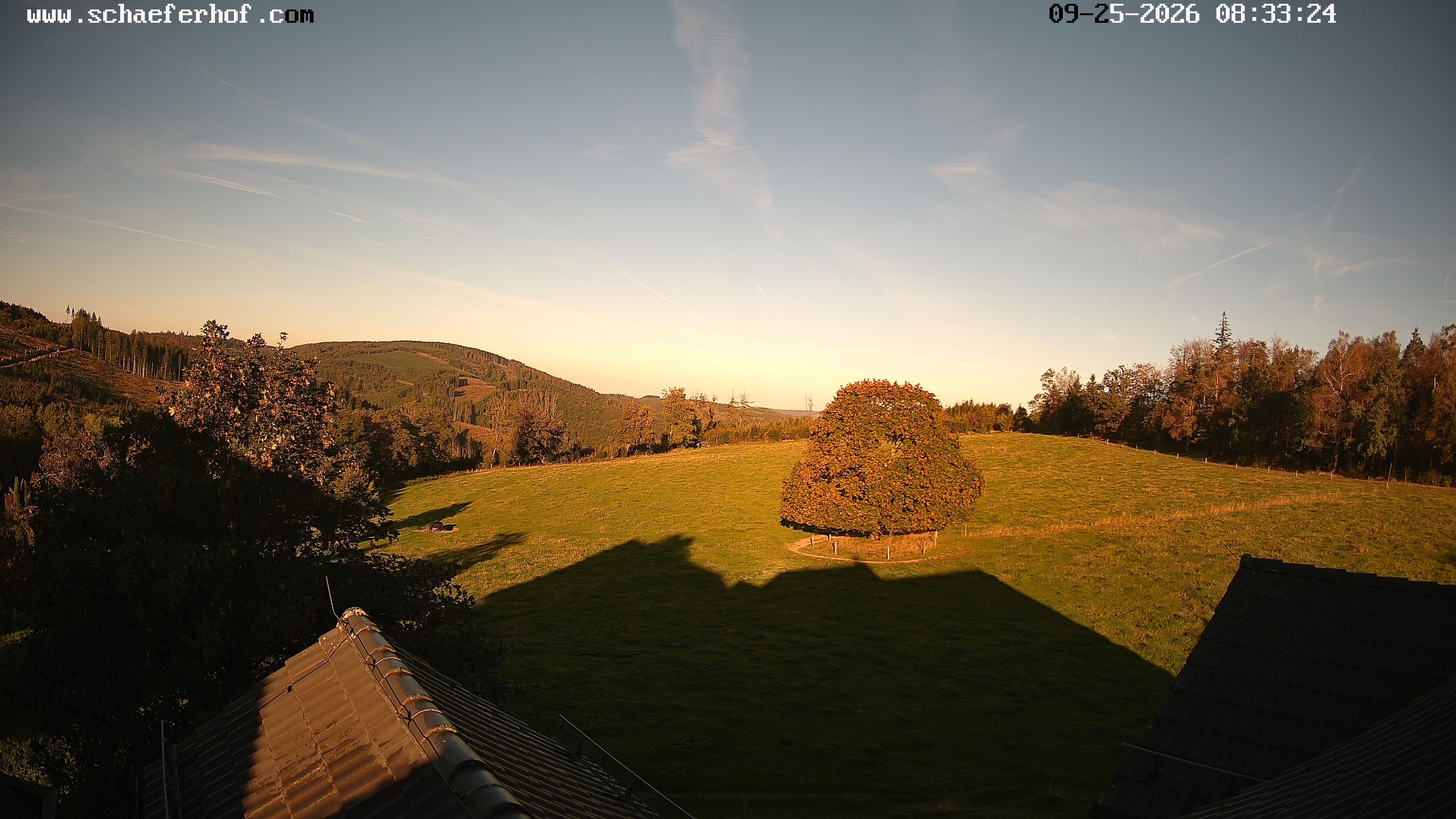 Archiv Foto Webcam Schäferhof im Sauerland