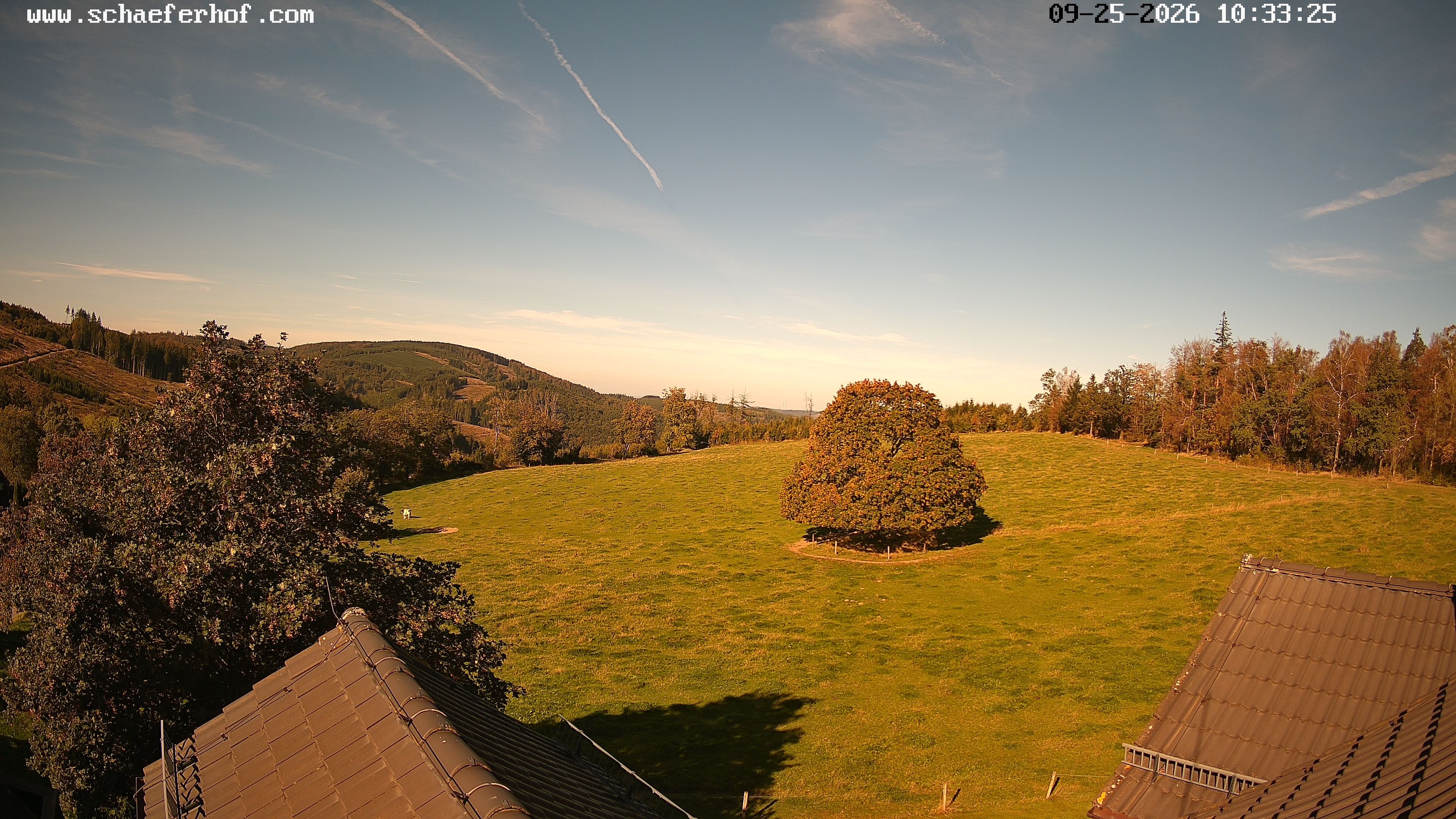 Archiv Foto Webcam Schäferhof im Sauerland