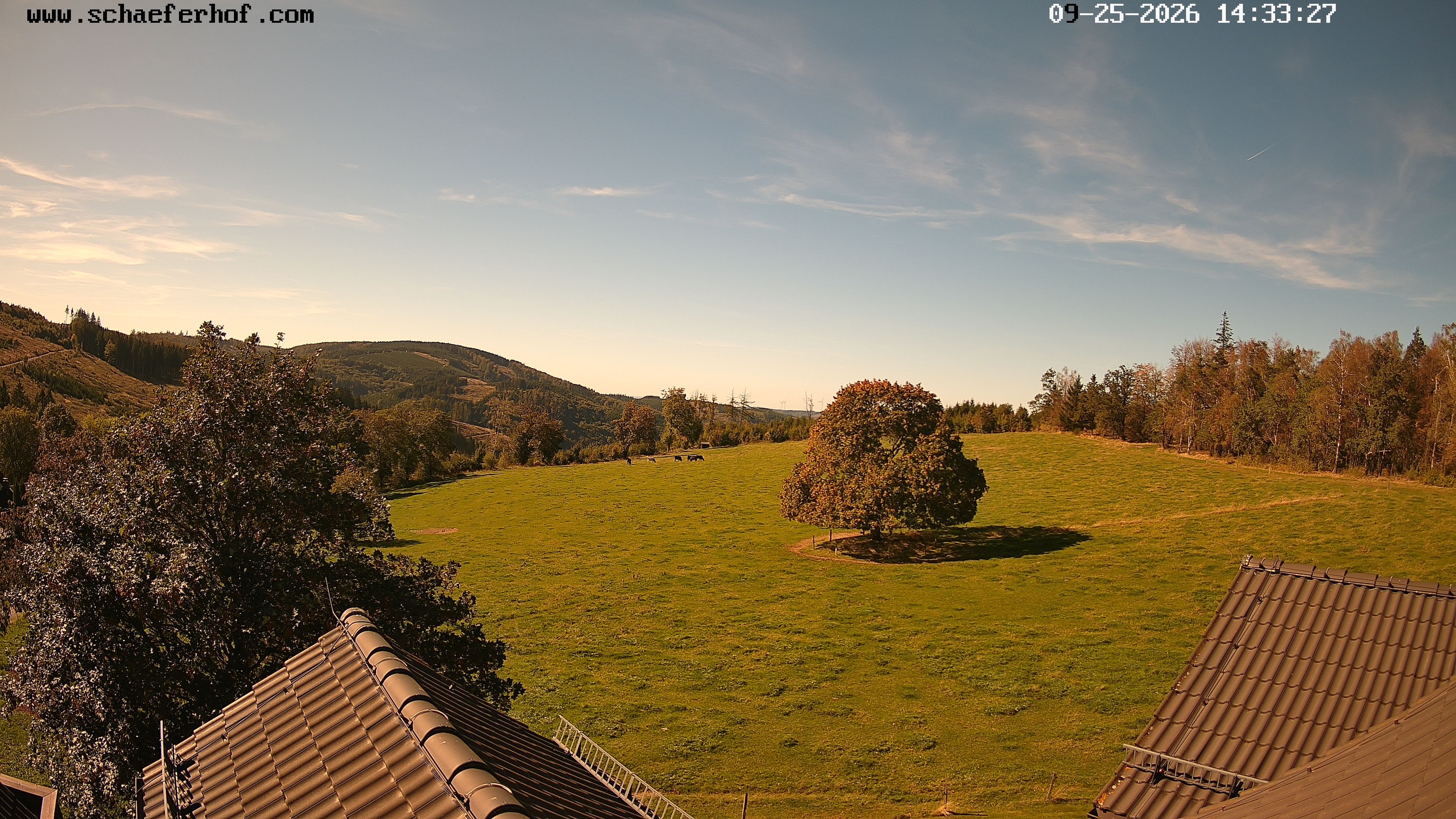 Archiv Foto Webcam Schäferhof im Sauerland