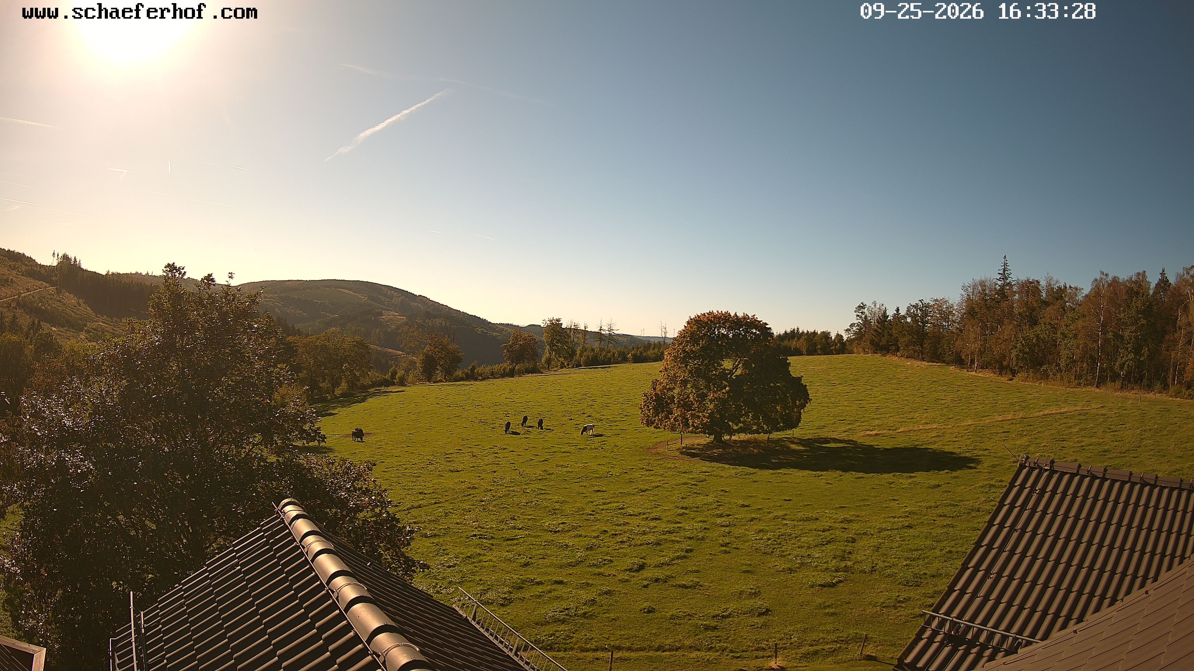 Archiv Foto Webcam Schäferhof im Sauerland