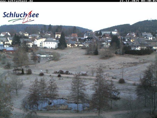 Archiv Foto Webcam Schluchsee: Wiesengrundpark