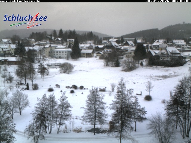 Archiv Foto Webcam Schluchsee: Wiesengrundpark