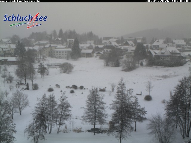 Archived image Webcam Schluchsee: recreation area Wiesengrundpark