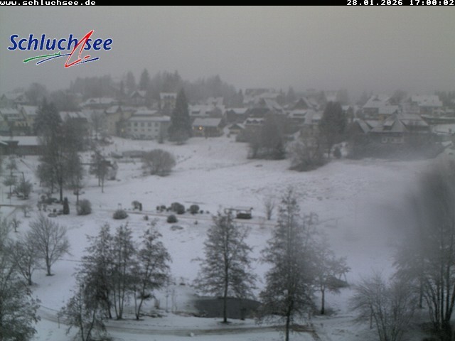 Archiv Foto Webcam Schluchsee: Wiesengrundpark