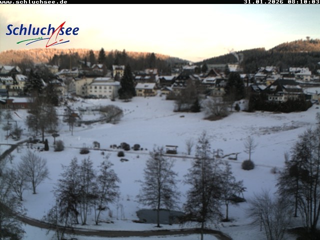Archiv Foto Webcam Schluchsee: Wiesengrundpark