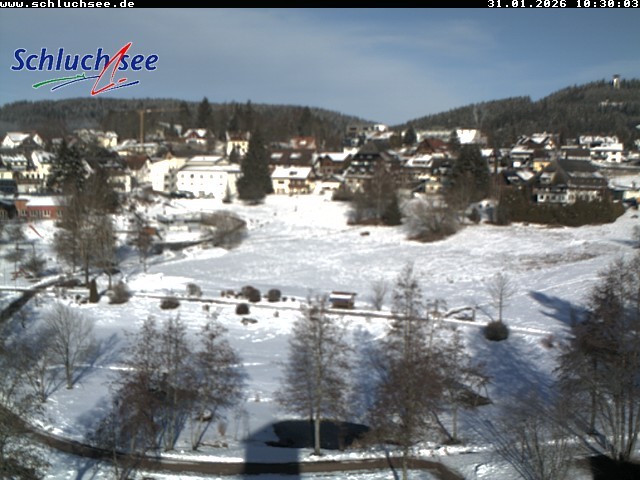 Archiv Foto Webcam Schluchsee: Wiesengrundpark
