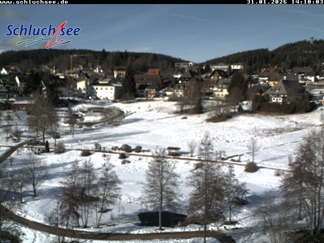 Archiv Foto Webcam Schluchsee: Wiesengrundpark