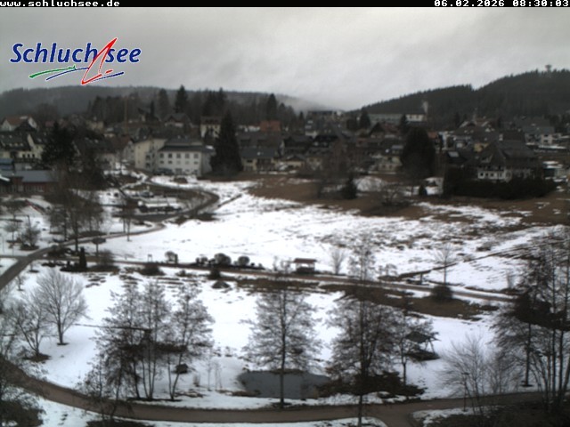 Archiv Foto Webcam Schluchsee: Wiesengrundpark