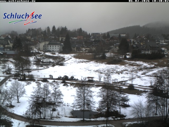 Archiv Foto Webcam Schluchsee: Wiesengrundpark