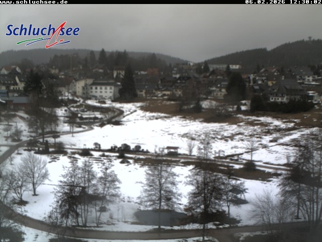 Archiv Foto Webcam Schluchsee: Wiesengrundpark