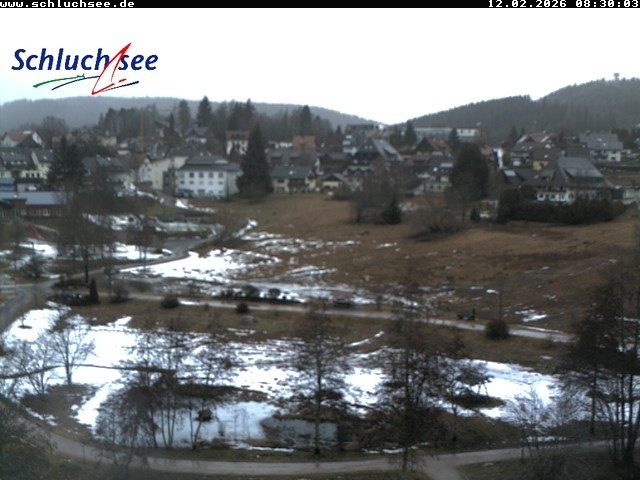Archiv Foto Webcam Schluchsee: Wiesengrundpark