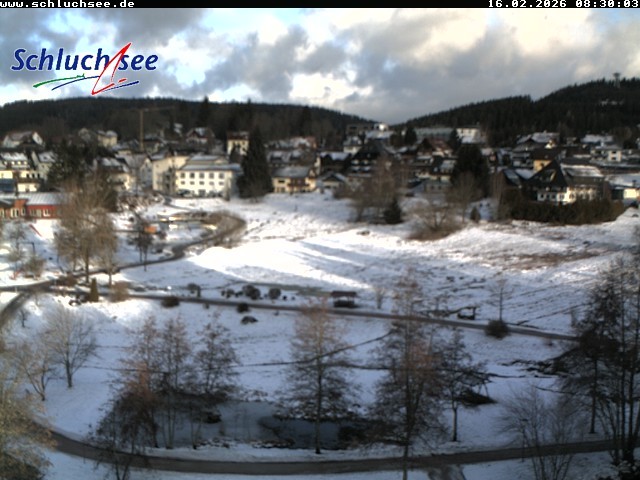 Archiv Foto Webcam Schluchsee: Wiesengrundpark