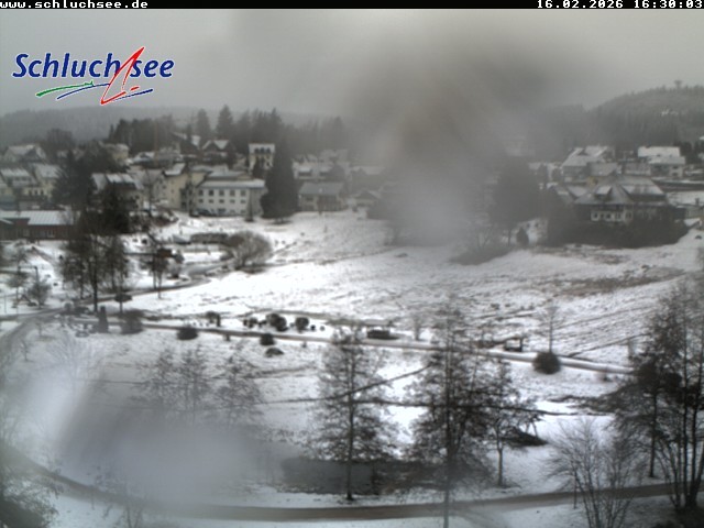 Archiv Foto Webcam Schluchsee: Wiesengrundpark