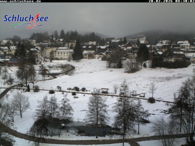 Archiv Foto Webcam Schluchsee: Wiesengrundpark