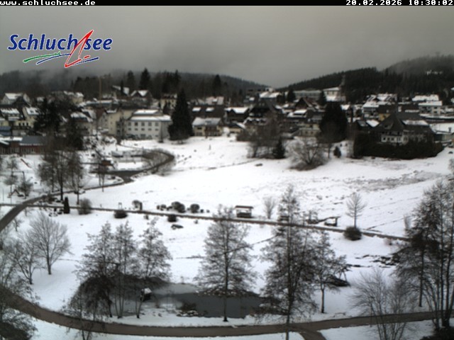 Archiv Foto Webcam Schluchsee: Wiesengrundpark