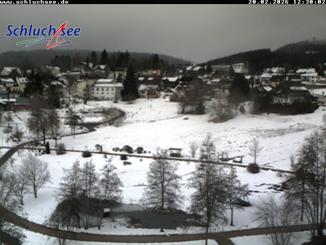Archiv Foto Webcam Schluchsee: Wiesengrundpark