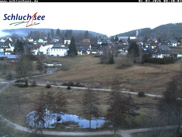Archiv Foto Webcam Schluchsee: Wiesengrundpark