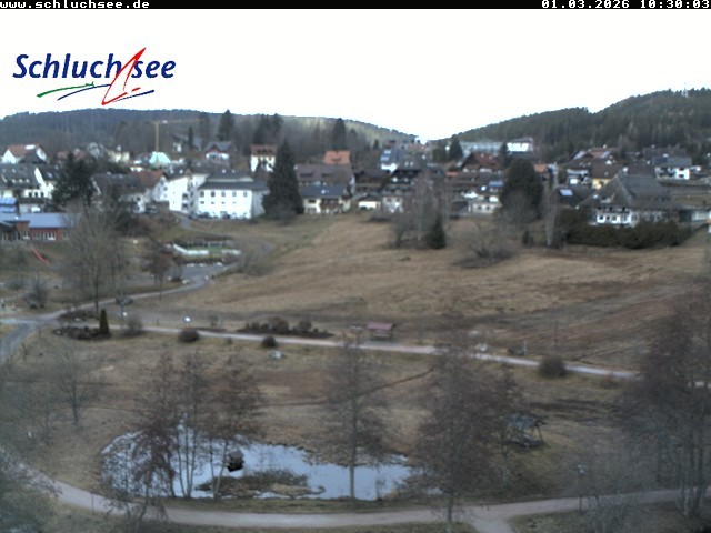 Archiv Foto Webcam Schluchsee: Wiesengrundpark
