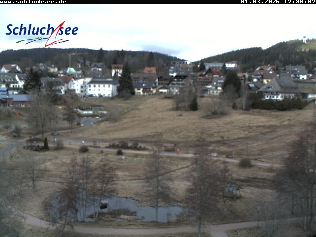 Archiv Foto Webcam Schluchsee: Wiesengrundpark