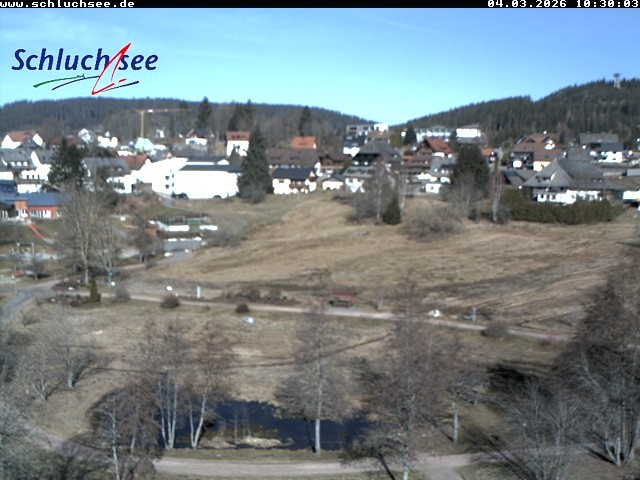 Archiv Foto Webcam Schluchsee: Wiesengrundpark