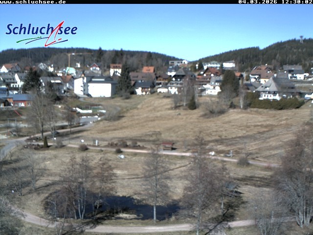 Archiv Foto Webcam Schluchsee: Wiesengrundpark