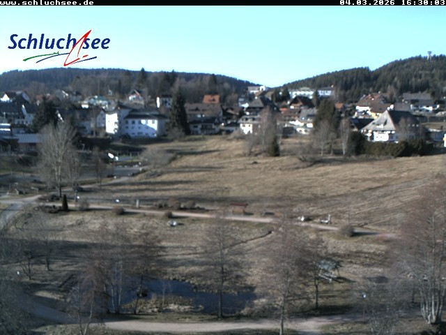 Archiv Foto Webcam Schluchsee: Wiesengrundpark