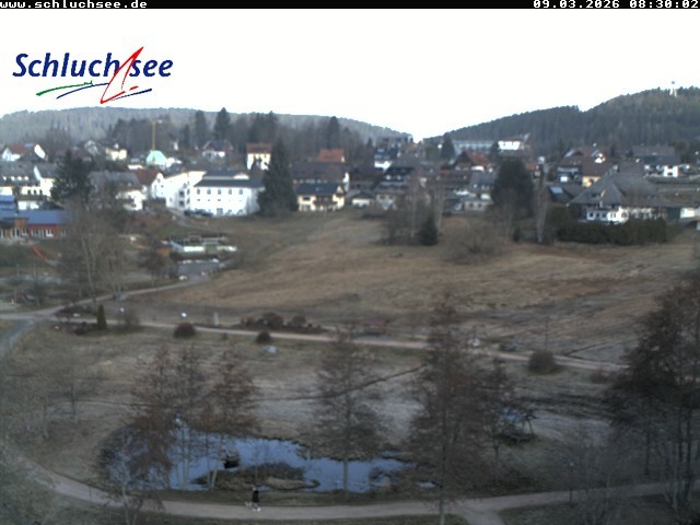 Archiv Foto Webcam Schluchsee: Wiesengrundpark