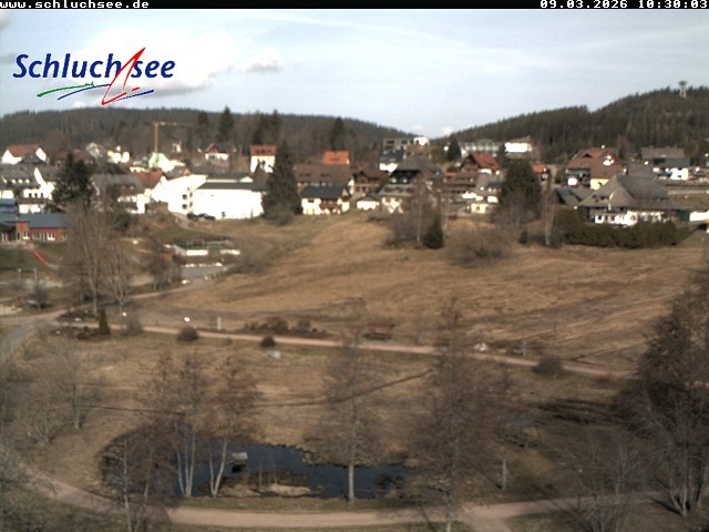 Archiv Foto Webcam Schluchsee: Wiesengrundpark