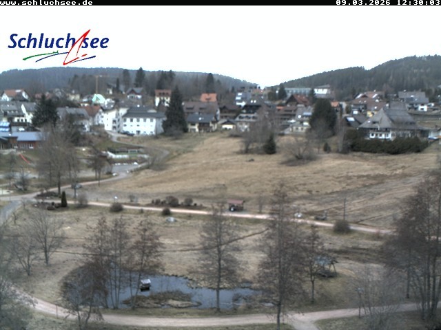 Archiv Foto Webcam Schluchsee: Wiesengrundpark