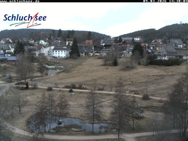 Archiv Foto Webcam Schluchsee: Wiesengrundpark