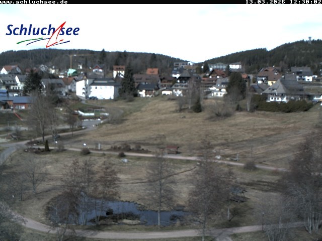 Archiv Foto Webcam Schluchsee: Wiesengrundpark