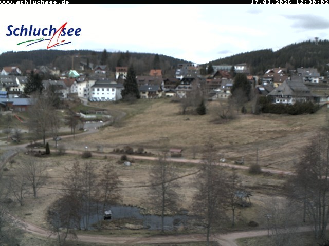 Archiv Foto Webcam Schluchsee: Wiesengrundpark