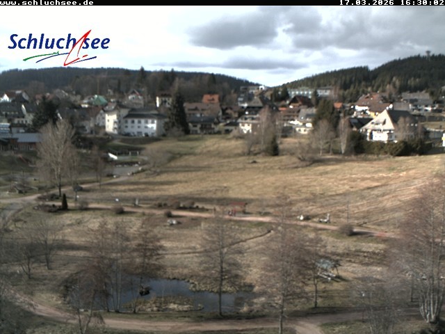 Archiv Foto Webcam Schluchsee: Wiesengrundpark