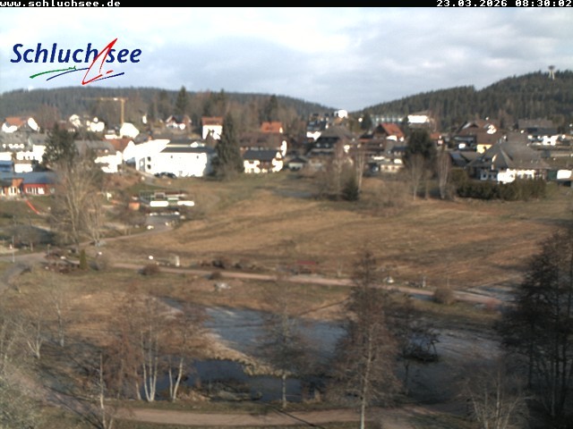 Archiv Foto Webcam Schluchsee: Wiesengrundpark