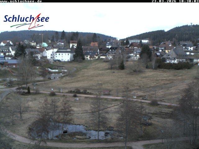 Archiv Foto Webcam Schluchsee: Wiesengrundpark