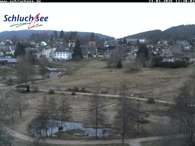 Archiv Foto Webcam Schluchsee: Wiesengrundpark