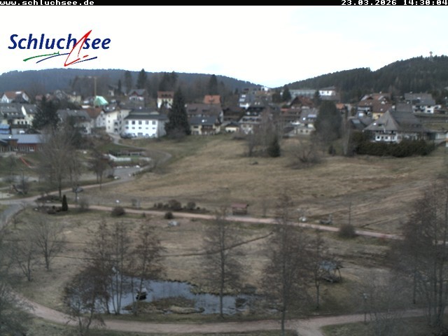 Archiv Foto Webcam Schluchsee: Wiesengrundpark
