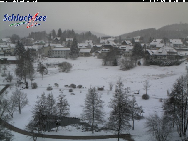 Archived image Webcam Schluchsee: recreation area Wiesengrundpark