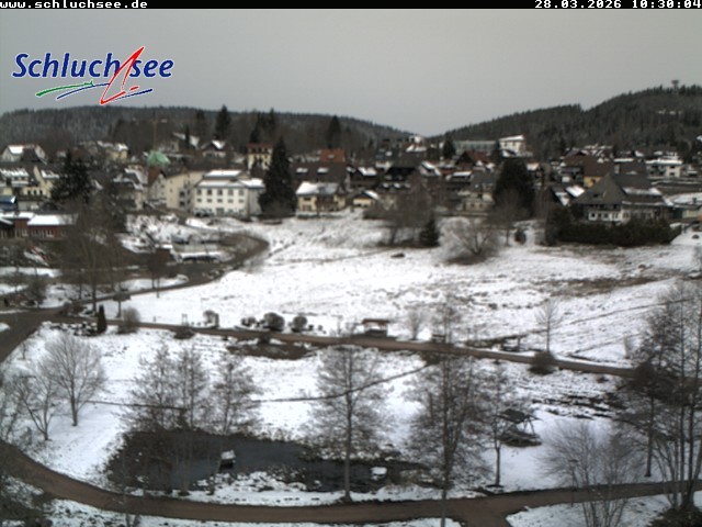 Archiv Foto Webcam Schluchsee: Wiesengrundpark