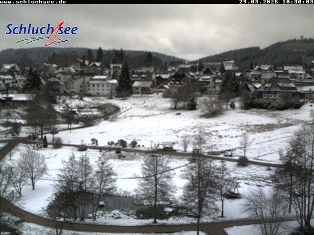 Archived image Webcam Schluchsee: recreation area Wiesengrundpark