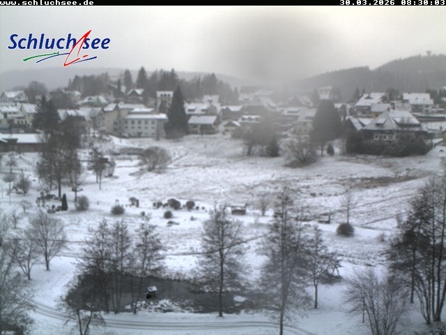 Archived image Webcam Schluchsee: recreation area Wiesengrundpark